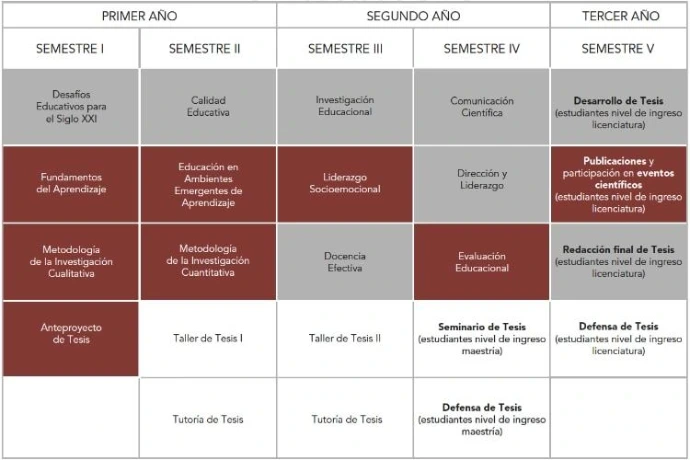 plan de estudio